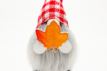 Lazy Gnome | All-Season Décor |  Picnic Red with 8 adorable & interchangeable symbols