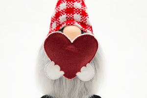Lazy Gnome | All-Season Décor |  Picnic Red with 8 adorable & interchangeable symbols
